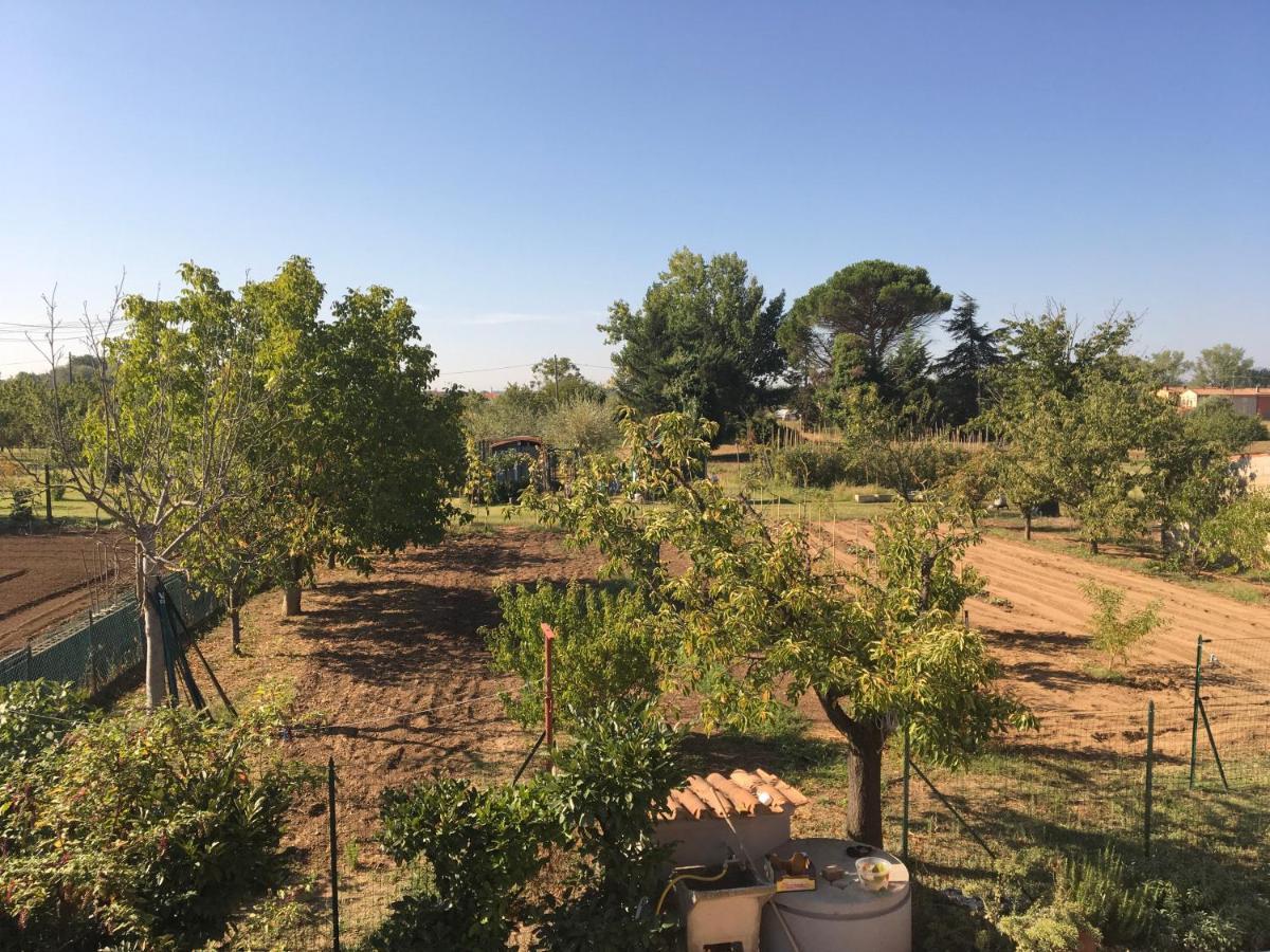Tuscan Dream Casa Vacanze Pieve a Nievole Kültér fotó
